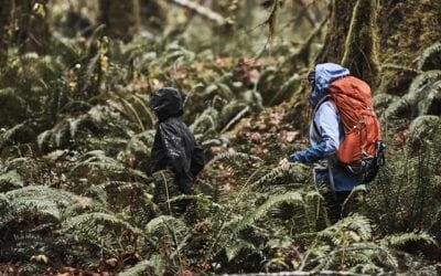 Arc’teryx, Canada Goose, Marmot, Norrona. Top 5 Waterproof-Breathable Rain Shells.