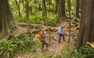 Arc’teryx, Dakine, Gregory, Marmot, Mystery Ranch, Osprey, Patagonia, The North Face. How to Choose the Right Travel Backpack.
