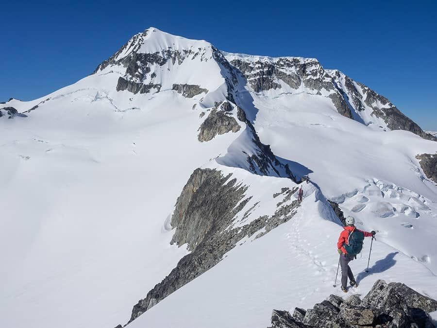 apex flex gtx jacket mountaineering