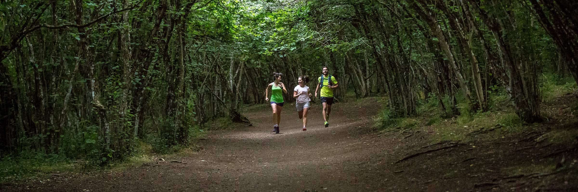 trail running course en sentier