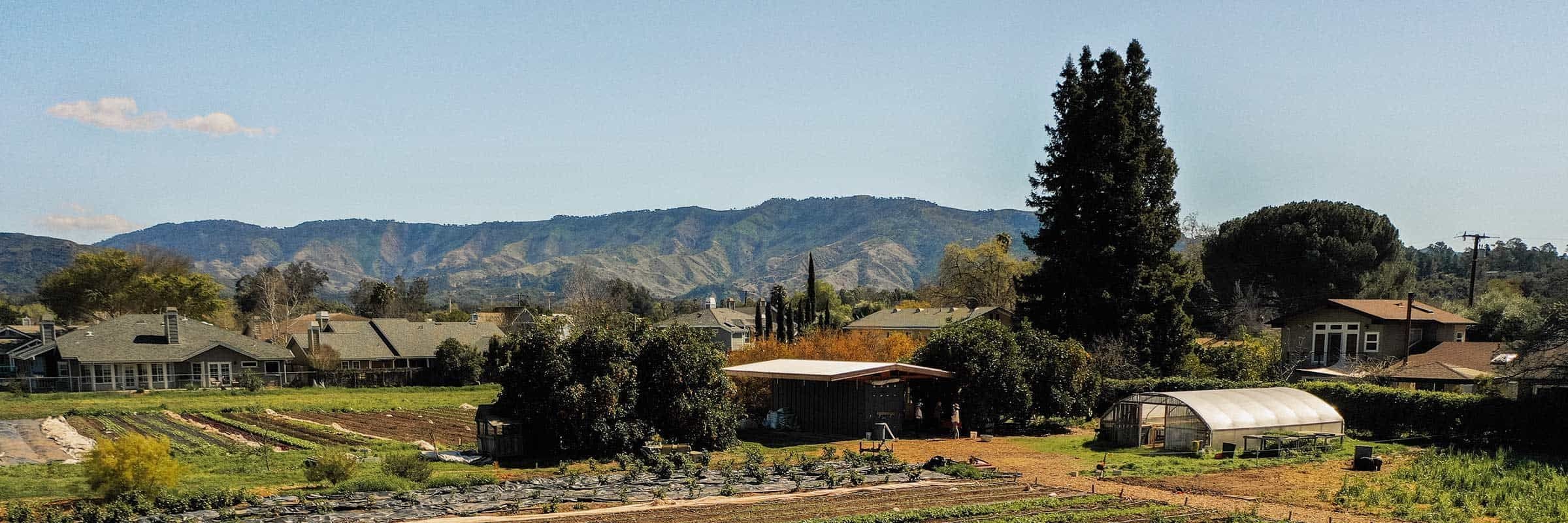 Growing a Revolution—Patagonia, Regenerative Agriculture, and Saving the Planet