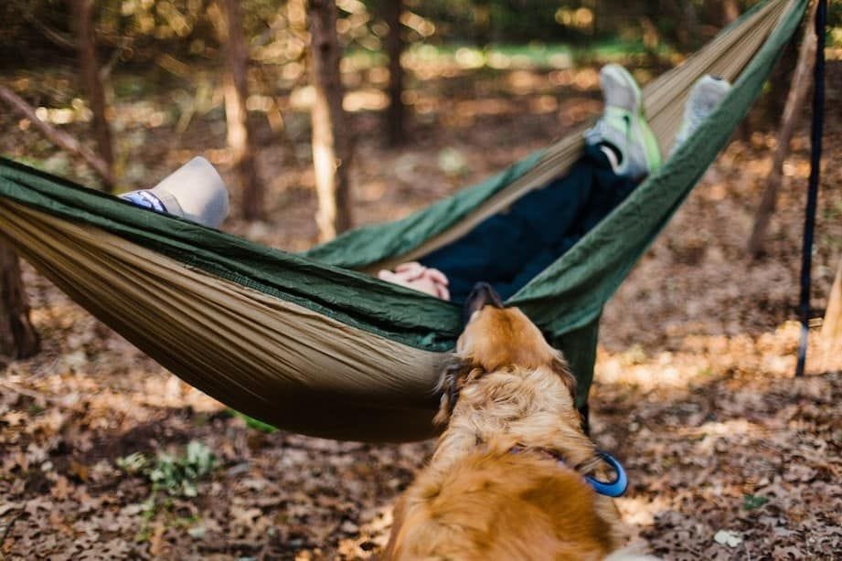 hammock camping and bears